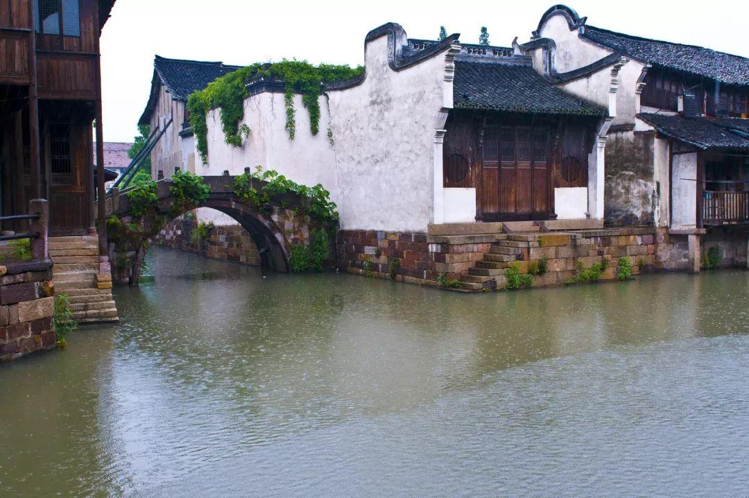 深入解读早安朋友圈句子平台,精选好文分享知识星球